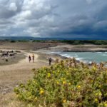 spiaggetta