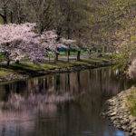 Storrow Lagoon